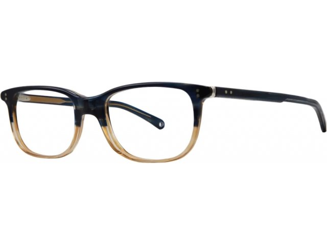 NATHALIE BLANC FODIER 503,  BRUSHED BLUE SHADED BROWN HAVANA, CLEAR