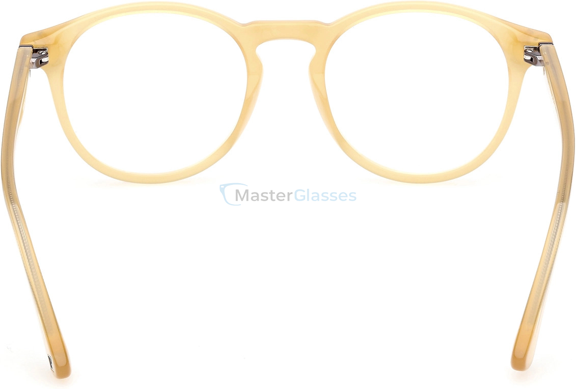  Web Eyewear WE 5387 041 50