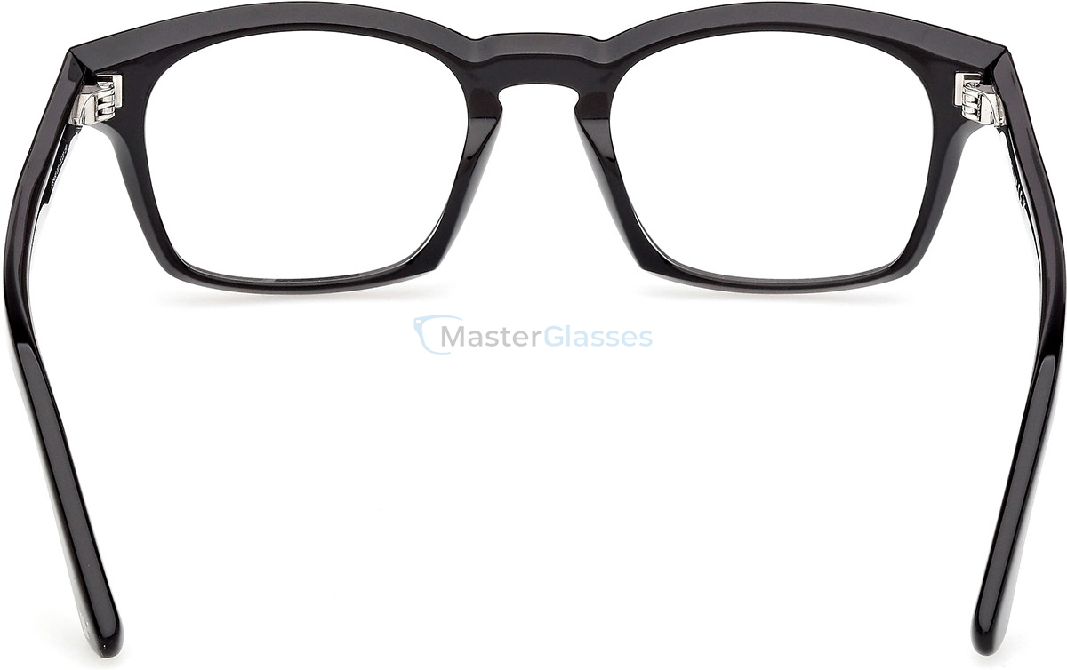  Web Eyewear WE 5460 001 50