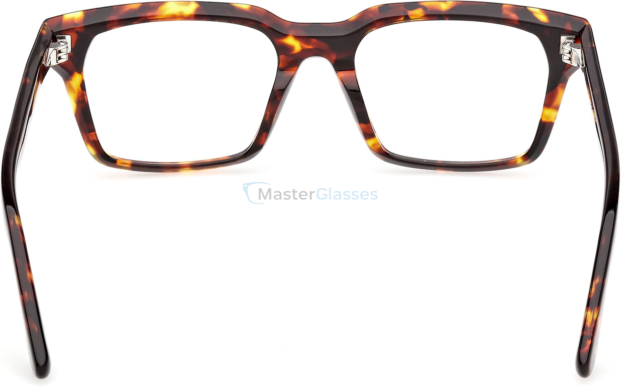  Web Eyewear WE 5459 055 53