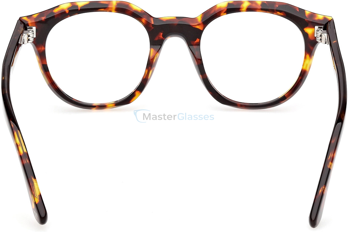  Web Eyewear WE 5461 055 48