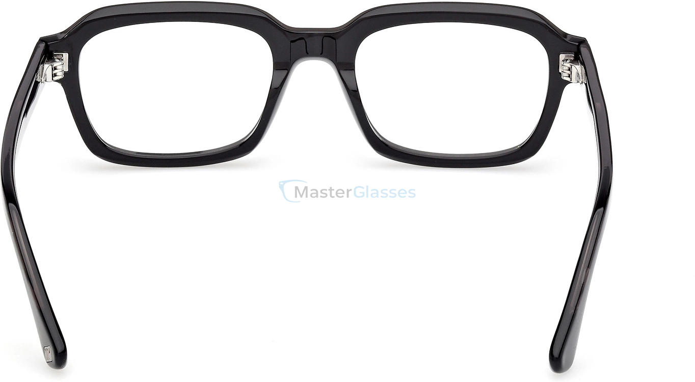  Web Eyewear WE 5466 001 52