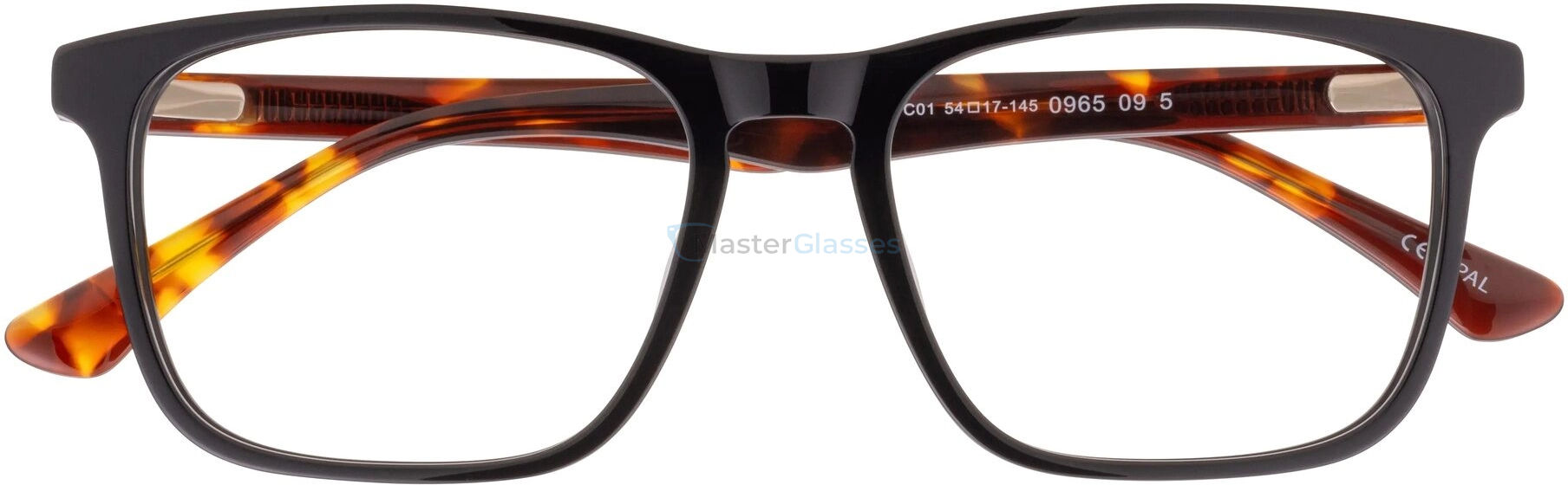 Оправа Opal Premium OPAA 228 C01