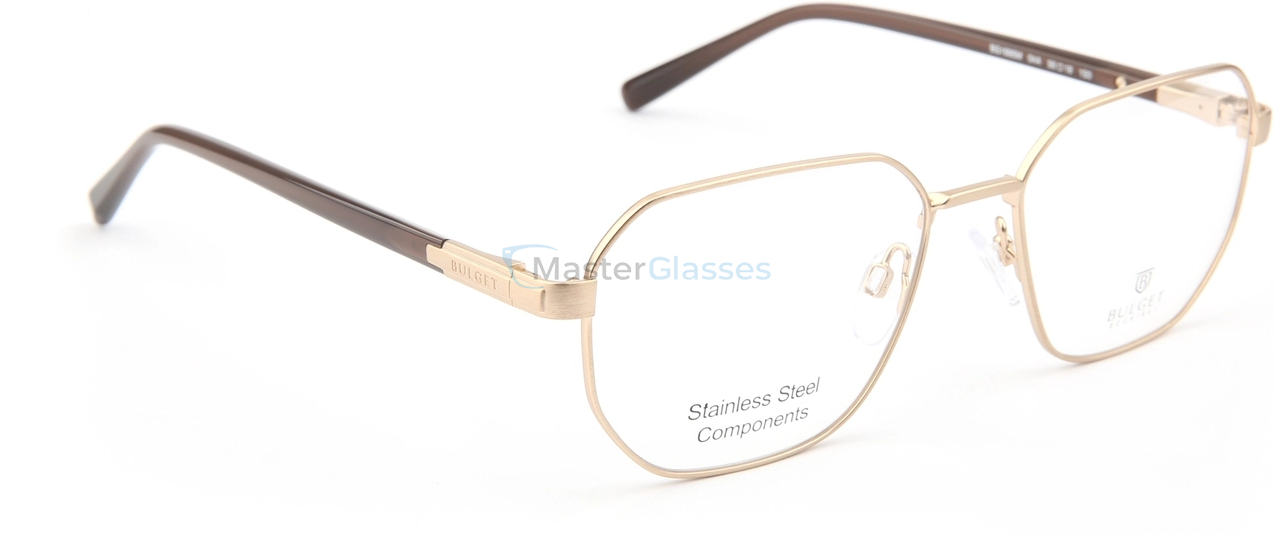 Оправа Bulget BG1995M 04A
