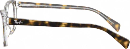  Ray-Ban RY1591 3805 Top Havana On Trasparent