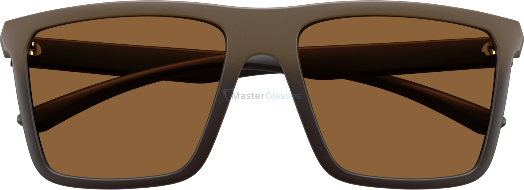 Солнцезащитные очки Armani Exchange AX4162SU 839173 Brown
