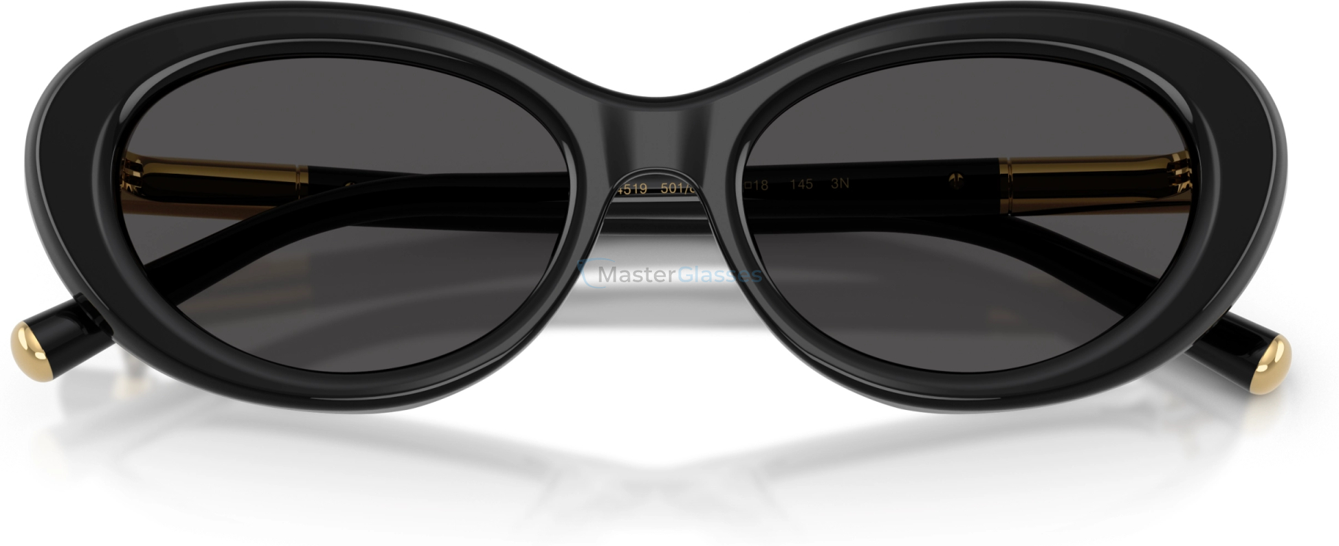 �������������� ���� Dolce & Gabbana DG4519 501/87 Black