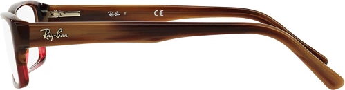  Ray-Ban RX5169 5541 Brown Horn Grad Trasp Bordea