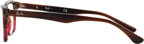  Ray-Ban RX5279 5541 Brown Horn Grad Trasp Bordea