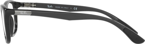  Ray-Ban RX8951 5603 Shiny Black
