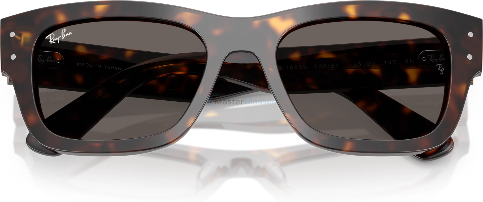 Солнцезащитные очки Ray-Ban JOSEPH RB7683S 902/B1 Tortoise
