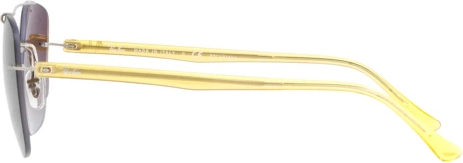   Ray-Ban RB4280 6288T5 Transparent