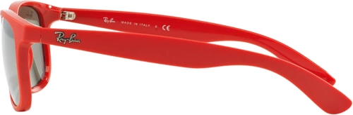   Ray-Ban Andy RB4202 61555A Shiny Coral On Matte Top