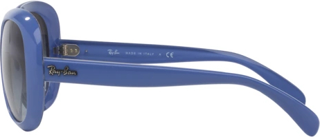   Ray-Ban RB4208 61038G Top Wisteria On Transparent