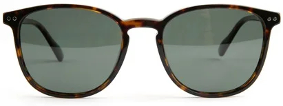 Солнцезащитные очки Bulget BG9184M G21P