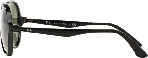   Ray-Ban RB4235 601 Black