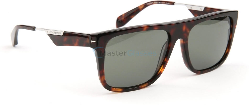 �������������� ���� T-Charge T9197 G21