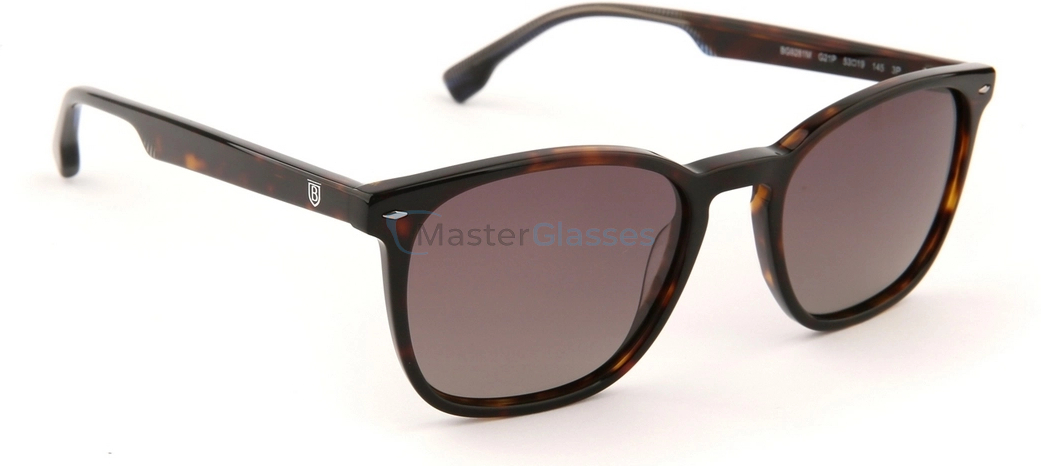 �������������� ���� Bulget BG9281M G21P