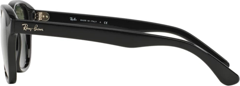   Ray-Ban RB4203 601 Black