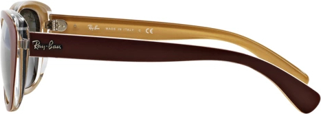   Ray-Ban RB4227 619388 Top Mat Brown On Ocra