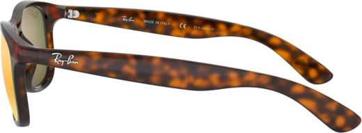   Ray-Ban Andy RB4202 710/6S Shiny Havana