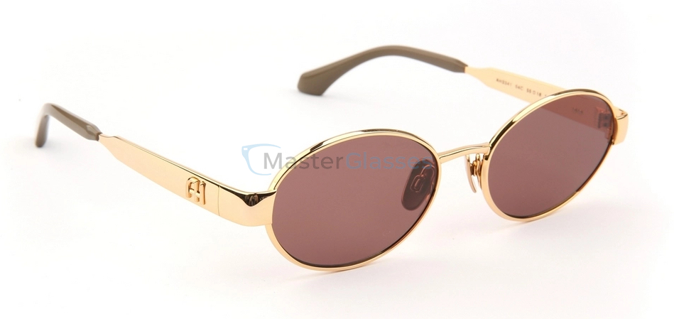 �������������� ���� Ana Hickmann AH3341 04C