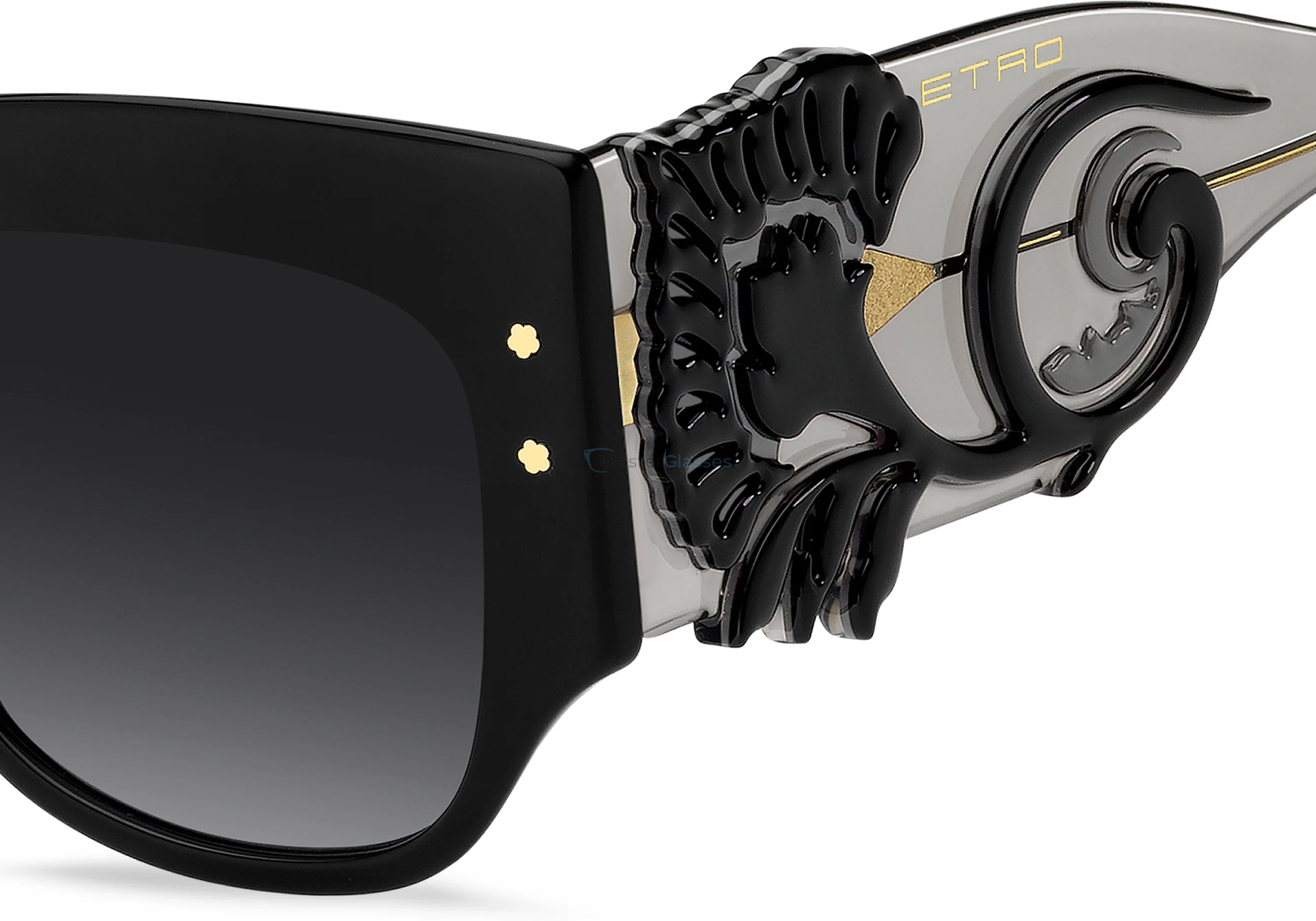 �������������� ���� ETRO 0103/S 807 Black