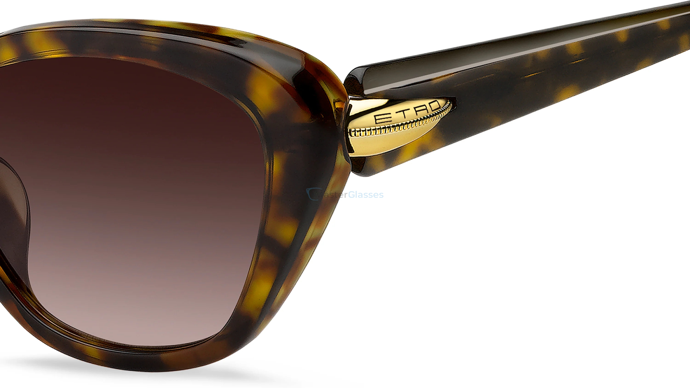 Солнцезащитные очки ETRO 0133/F/S 086 Havana