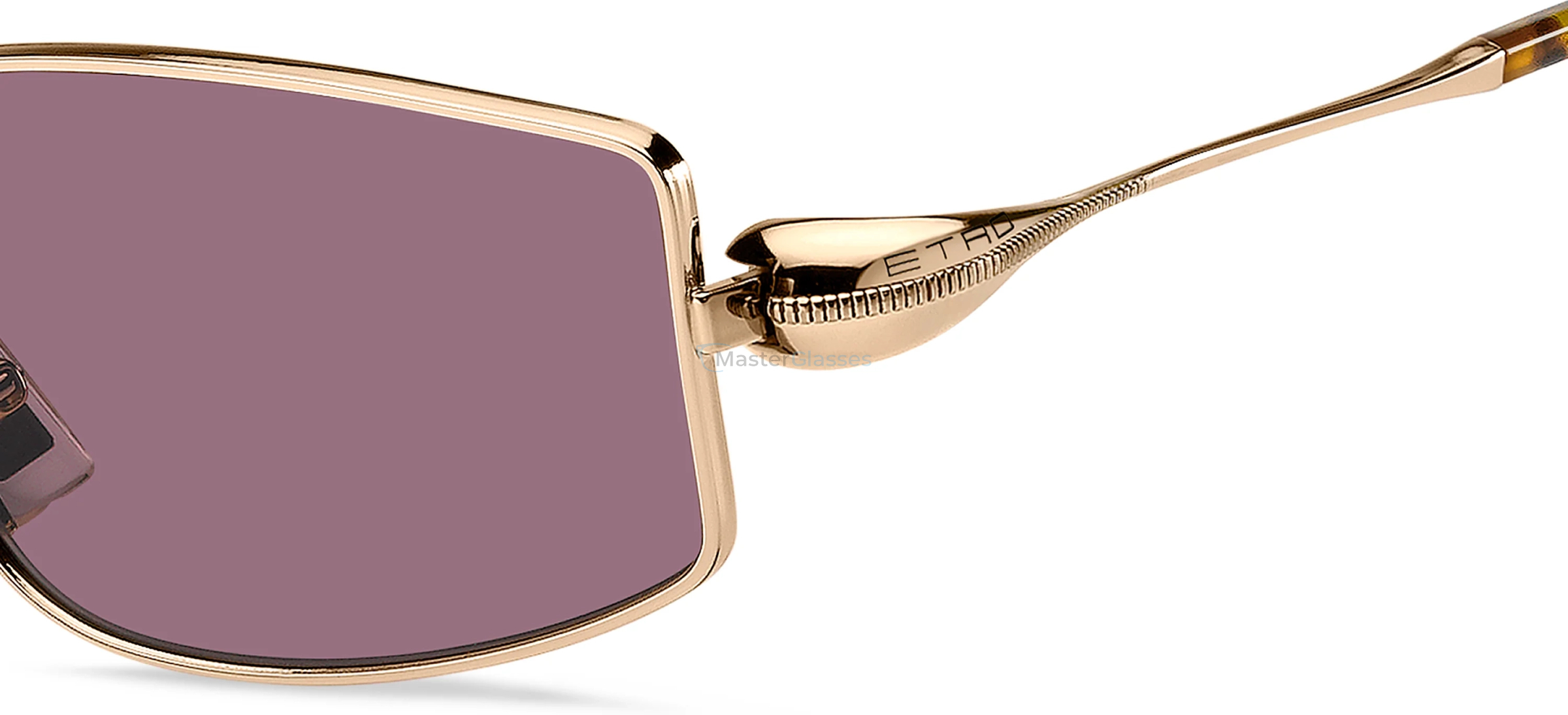 �������������� ���� ETRO 0137/S 000 Rose Gold