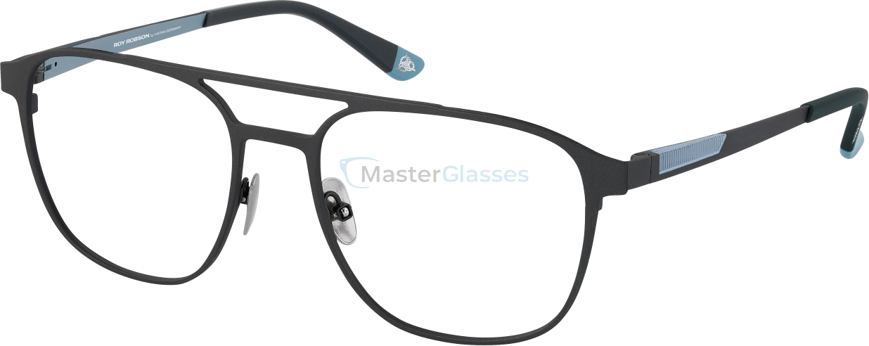 ������ Roy Robson 40134 001 55/19