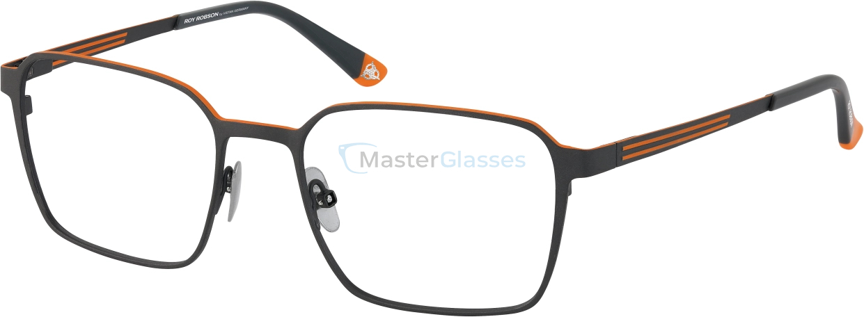 Оправа Roy Robson 40136_cl 003 53/19