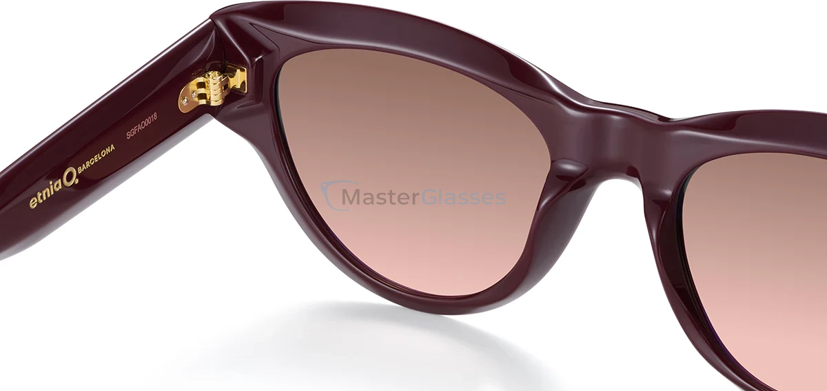 Солнцезащитные очки Etnia Barcelona 5 SAFARN 53S BX