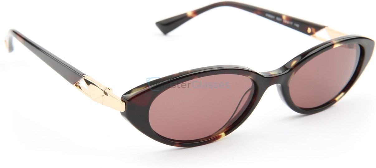 �������������� ���� Hickmann HI9301 G21