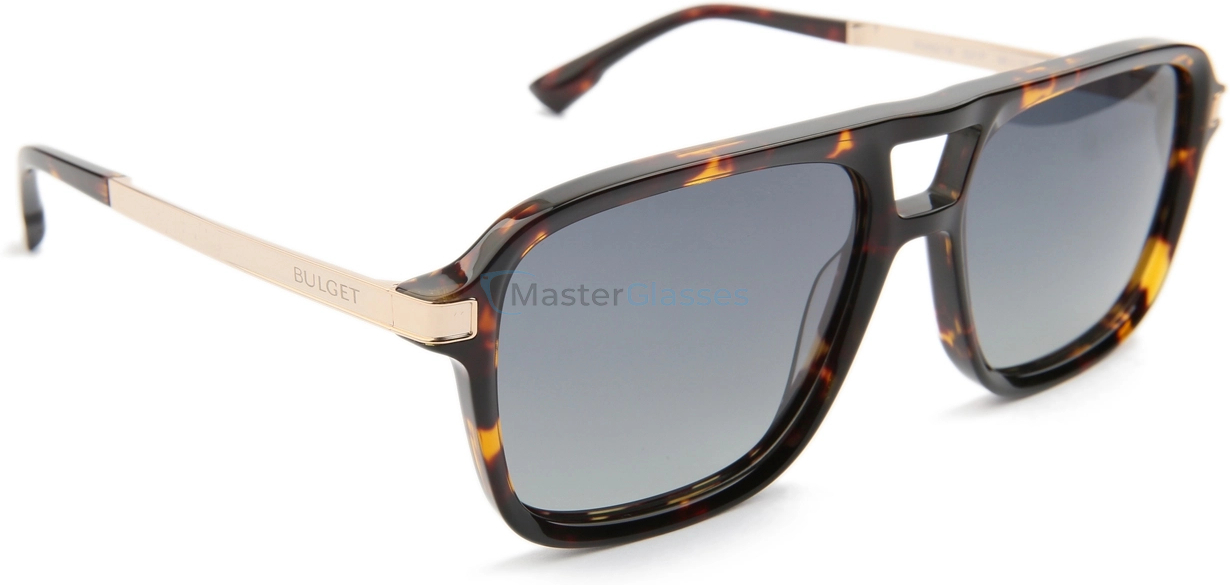 �������������� ���� Bulget BG9321M G21P