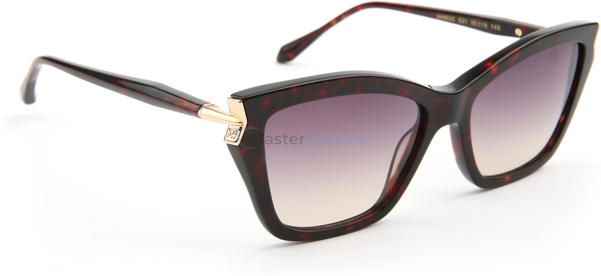 �������������� ���� Ana Hickmann AH9532 G21