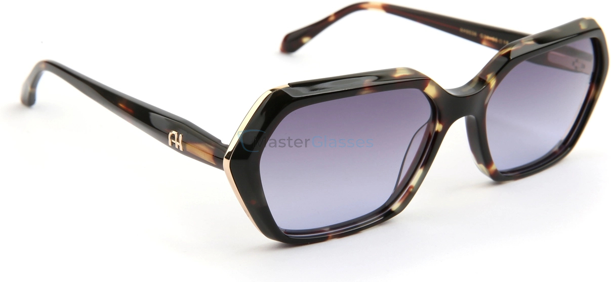 �������������� ���� Ana Hickmann AH9536 G21