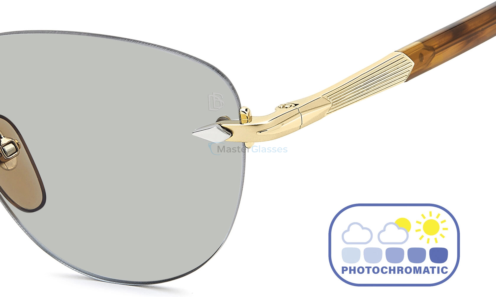 �������������� ���� (�����������) DAVID BECKHAM DB 1224/S T5U Gold Brown Horn