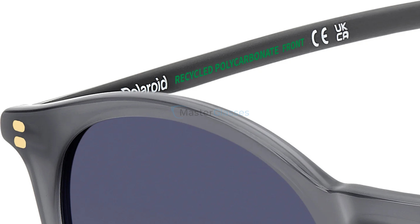 �������������� ���� POLAROID PLD 4206/S/X YB7 Silver