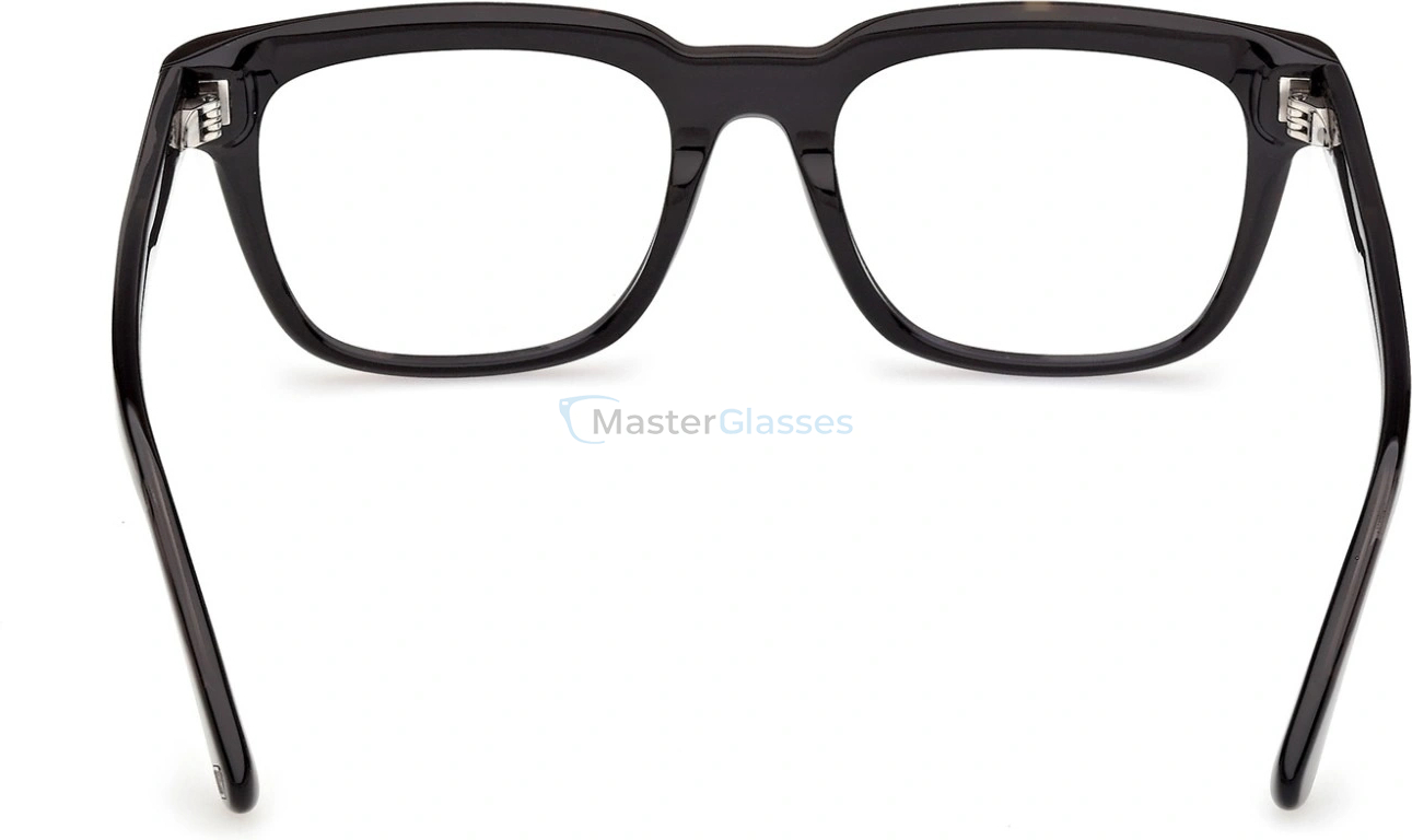 ������ Web Eyewear WE 5469 056 53