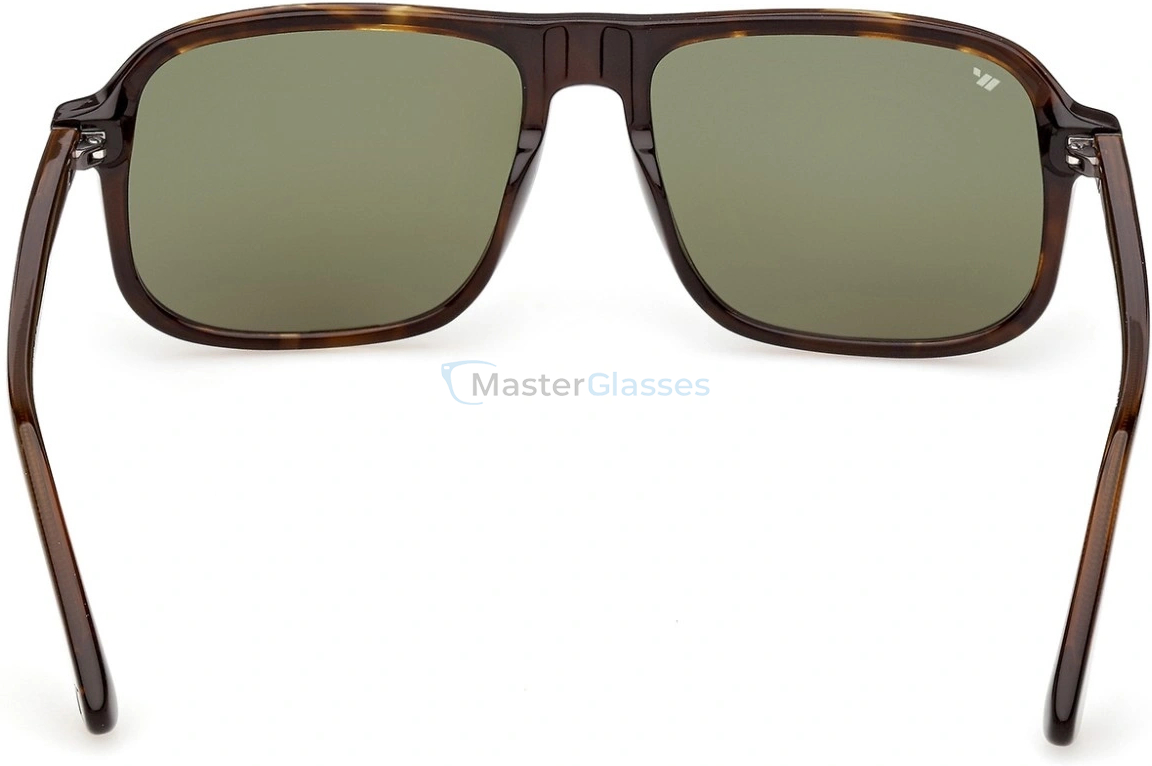 �������������� ���� Web Eyewear WE 0396 56N 56