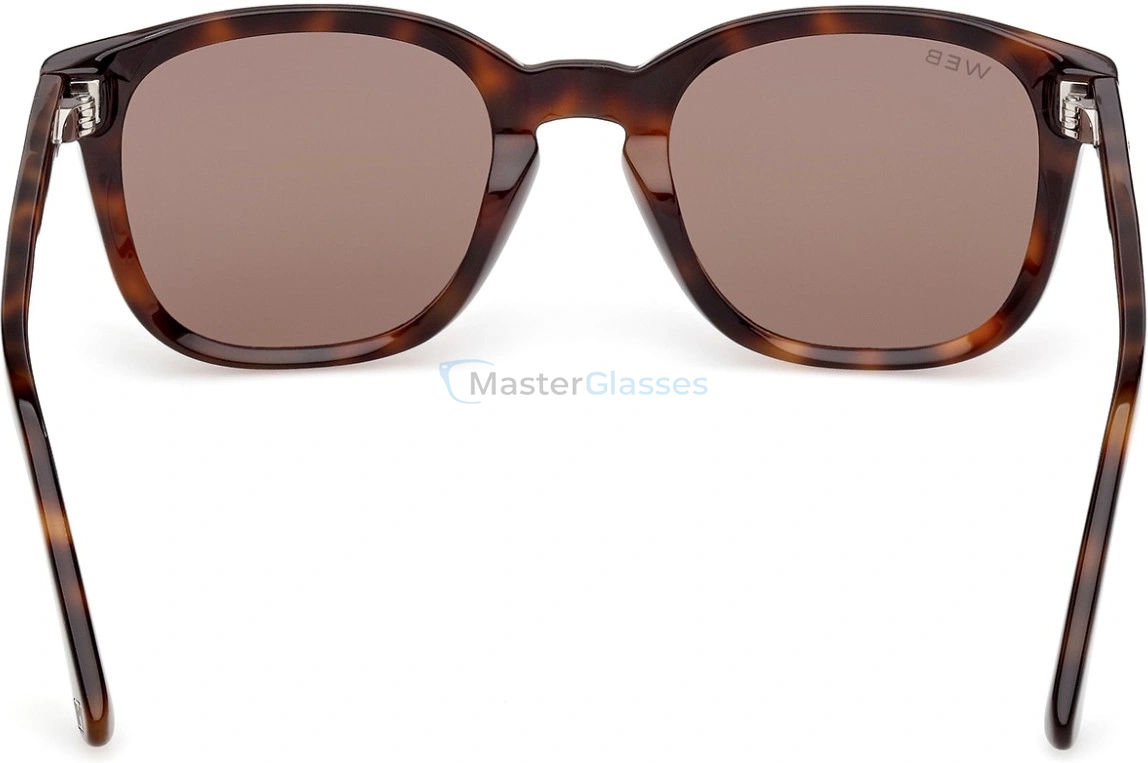 �������������� ���� Web Eyewear WE 0390 52E 53