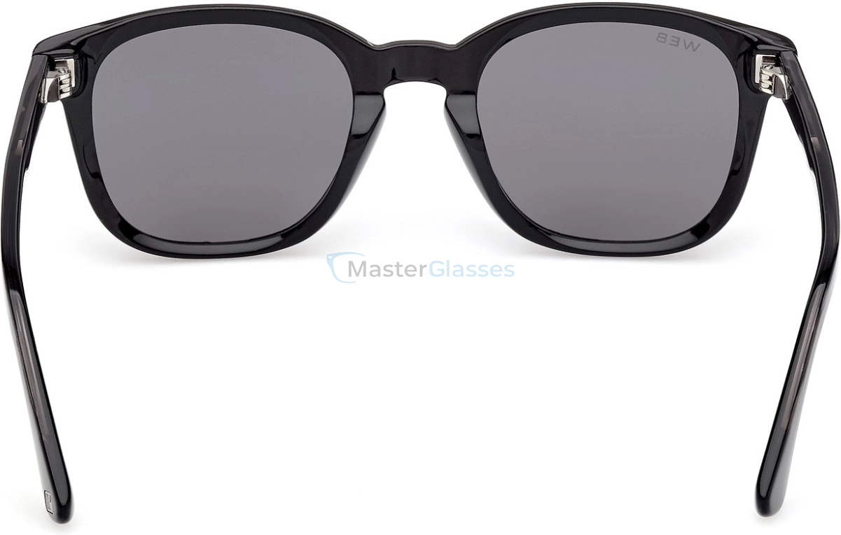 �������������� ���� Web Eyewear WE 0390 01A 53