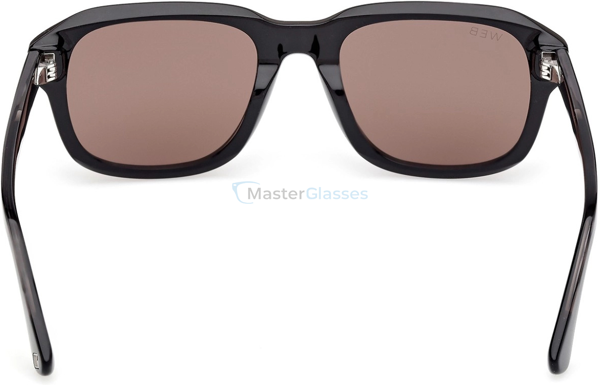 �������������� ���� Web Eyewear WE 0389 01E 54