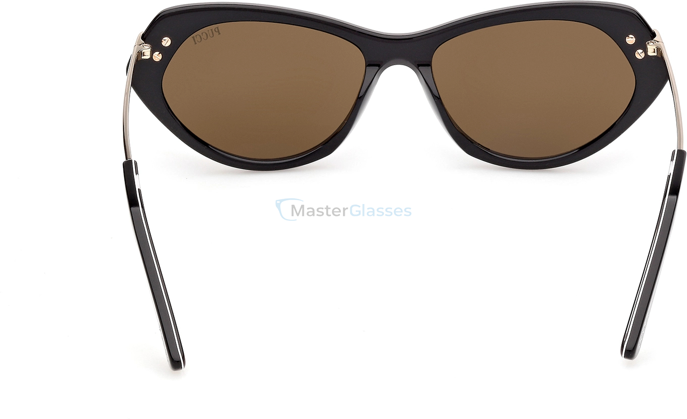 �������������� ���� Emilio Pucci EP 0251 01E 56