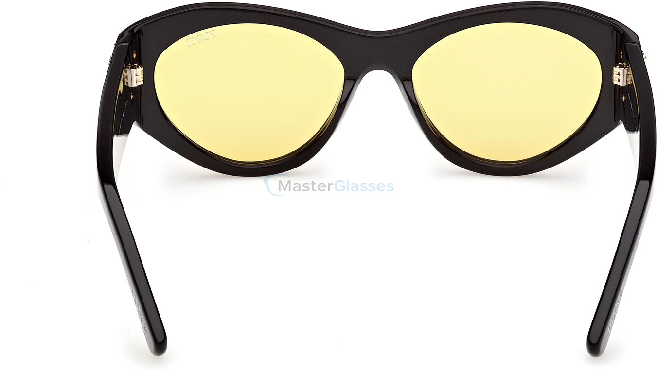 �������������� ���� Emilio Pucci EP 0249 01E 54