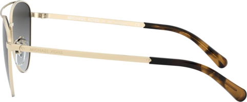 �������������� ���� Michael kors Barcelona MK1056 10148G Light Gold