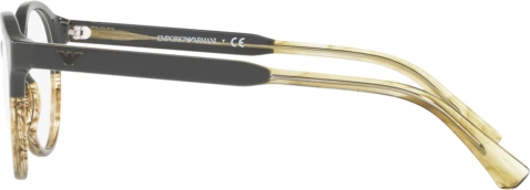 Оправа Emporio Armani EA3122 5571 Military/striped Honey Tr