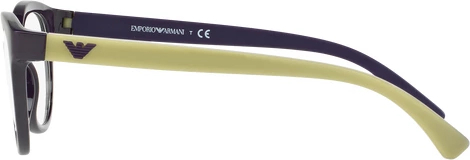  Emporio Armani EA3104 5560 Violet