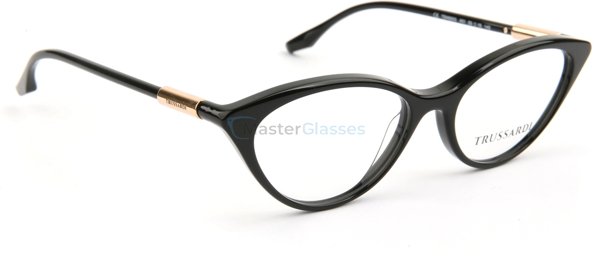 Оправа Trussardi TSW6203 A01