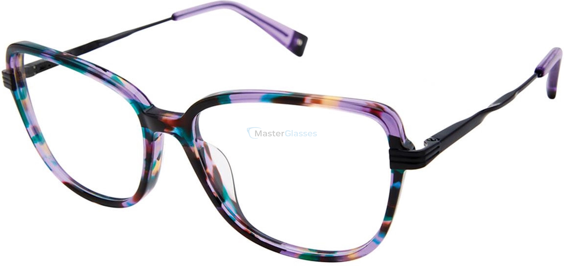 ������ Champion Wendi C03
